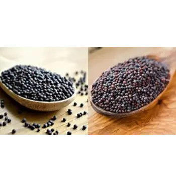 Fresh Black Mustard Seeds